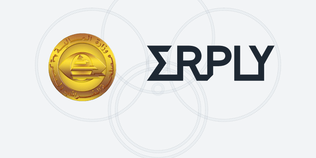 Erply Egypt eInvoicing API