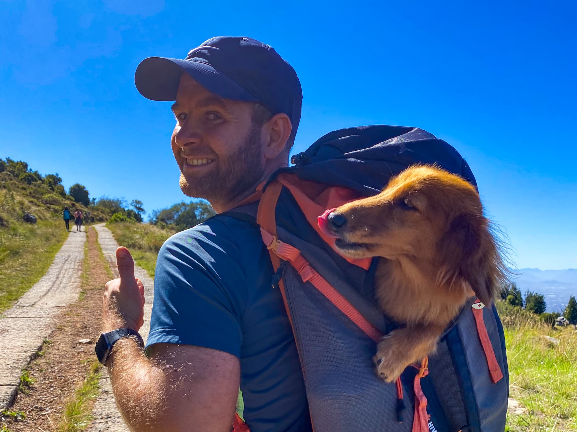 Hiking for 33km over Table mountain and giving Alpha a little rest in the backpack.